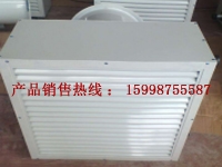 广西R524热水暖风机
